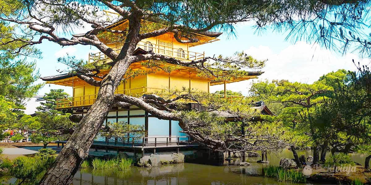 The Absolute Best Top 5 Temples In Kyoto Traditional